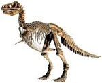 Плитка с настоящими фрагментами скелета динозавра